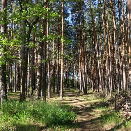 Tinyhaus2 Idyllisch Am Waldesrand * Niederdorla